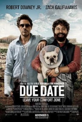 Due Date (2010) Dual Audio {Hindi-English}