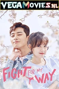 Fight For My Way (Season 1) Dual Audio {Hindi - Korean} Complete WEB Series