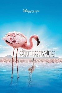 The Crimson Wing (2008) Dual Audio {Hindi-English}