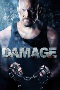Damage (2009) Dual Audio Full Movie {Hindi-English}