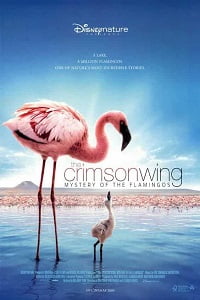 The Crimson Wing Mystery of the Flamingos (2008) Dual Audio {Hindi-English}