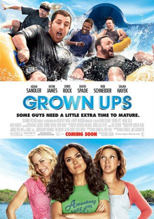 Grown Ups (2010) Dual Audio Hindi
