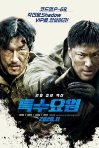 Special Agent (2020) Dual Audio [Hindi - Korean] WeB-DL