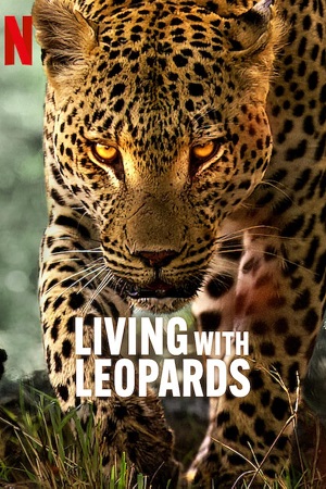 Living with Leopards (2024) {English with Subtitles} Full Movie WEB-DL