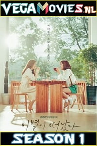 Goodbye to Goodbye Season 1 Hindi Dubbed Complete Korean Drama Series