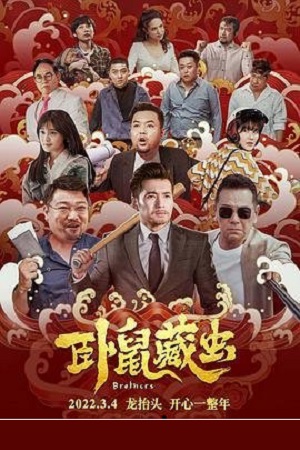 Brothers (2022) WEB-DL Dual Audio {Hindi-Chinese}