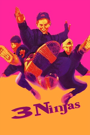 3 Ninjas (1992) Dual Audio {Hindi-English} BluRay