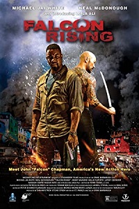 Falcon Rising (2014) Dual Audio Hindi