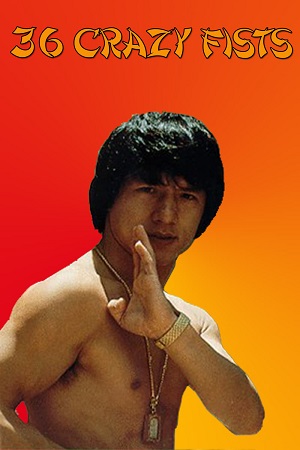 The 36 Crazy Fists – Jackie Chan And The 36 Crazy Fists (1977) BluRay Dual Audio {Hindi-English}