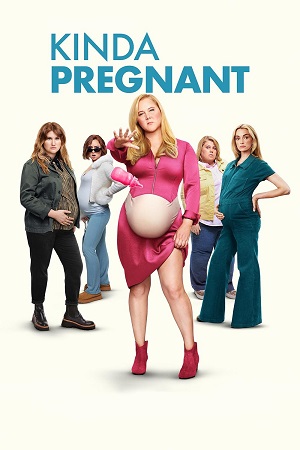 Kinda Pregnant (2025) WEB-DL Dual Audio {Hindi-English}