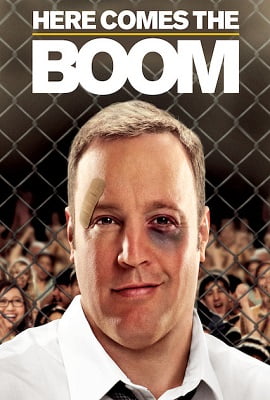 Here Comes the Boom (2012) Dual Audio Hindi