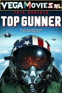 Top Gunner (2020) Dual Audio [Hindi - English] WeB-DL