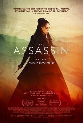 The Assassin (2015) Dual Audio {Hindi-English}