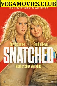 Snatched (2017) Dual Audio {Hindi-English}