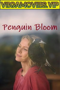 Penguin Bloom (2020) HDCAM English