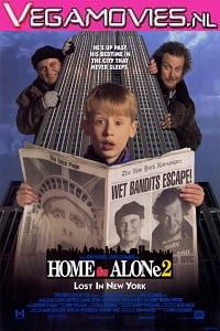 Home Alone 2 (1992) Dual Audio {Hindi-English}