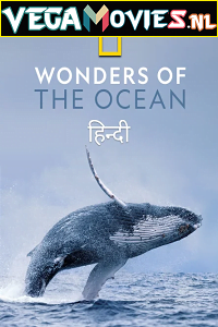 Wonders of the Ocean (2021) Season 1 Hindi Complete DSNP WEB Series