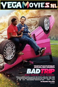 Bad Trip (2020) Dual Audio {Hindi-English}