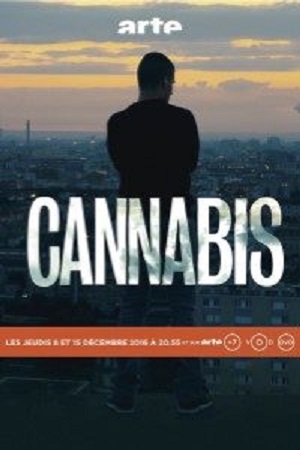 Cannabis (2016) Season 1 Hindi Complete MX Original WEB Series