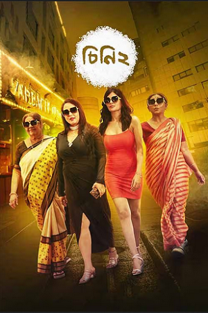 Cheeni 2 (2008) Bengali Hoichoi WEB-DL Full Movie