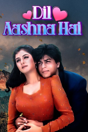 Dil Aashna Hai (1992) HDRip Hindi Full Movie