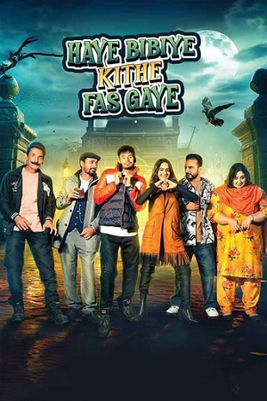 Haye Bibiye Kithe Fas Gaye (2024) WEB-DL {Punjabi DD5.1} Full Movie