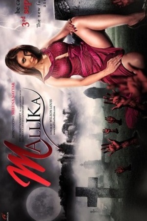 Mallika (2010) HDRip Hindi Full Movie