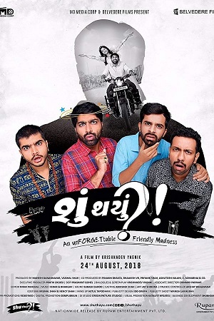 Shu Thayu (2018) Gujarati Full Movie WEB-DL