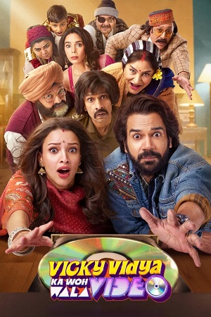 Vicky Vidya Ka Woh Wala Video (2024) Hindi DD5.1 Netflix WEB-DL